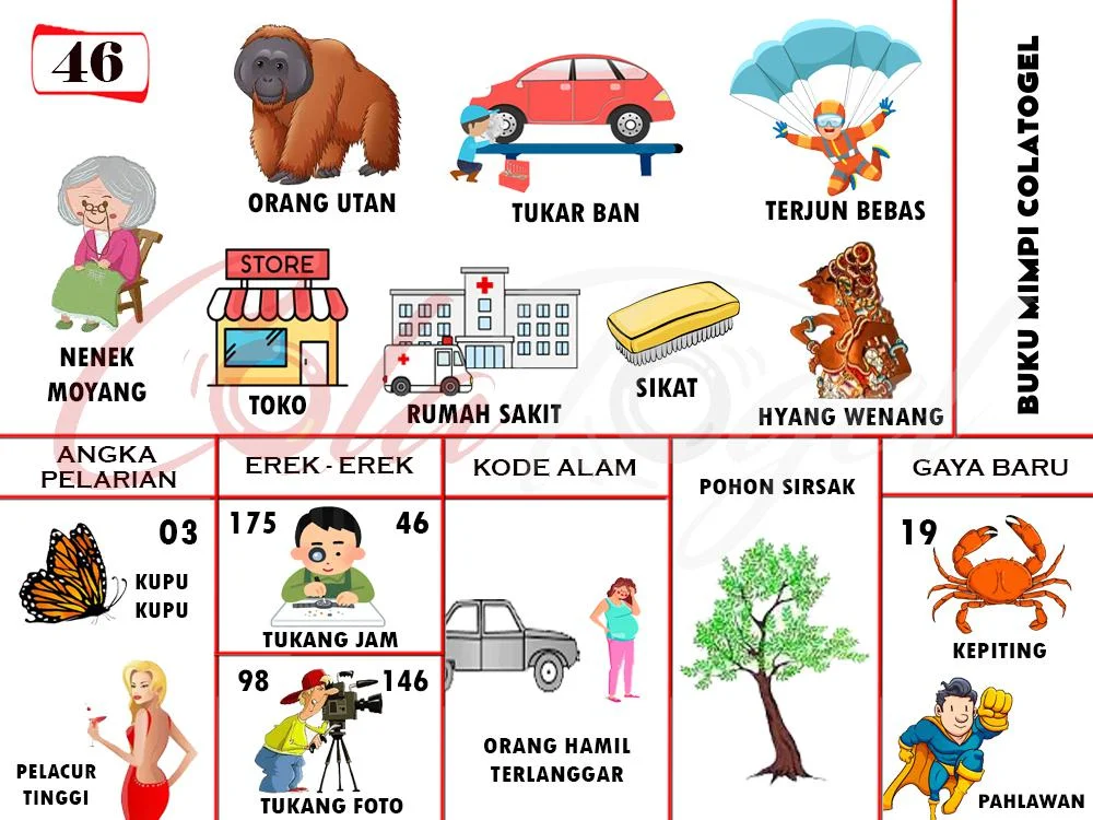 buku mimpi erek erek togel 46