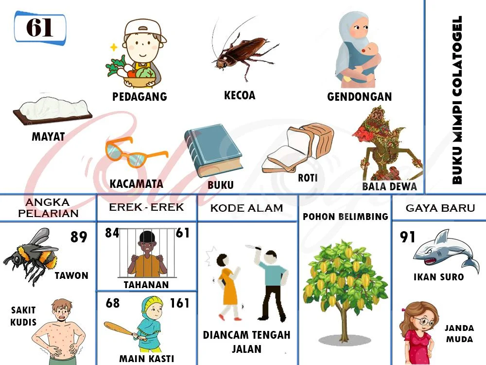 buku mimpi erek erek togel 61